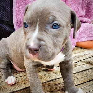 Meet your Posher, Brianna